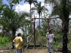Dave perched on a makeshift ladder at a well site.